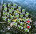 温州市房地产市场信息